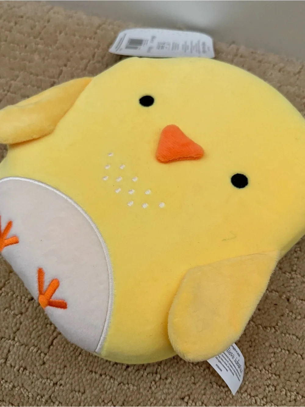 Plush Chick Book